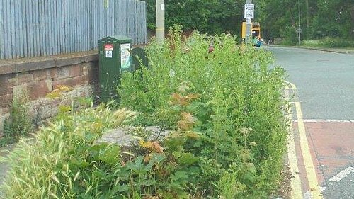 Allport Road