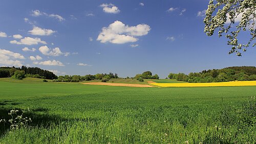 Green fields in the countryside.